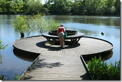 Pond Dipping platform